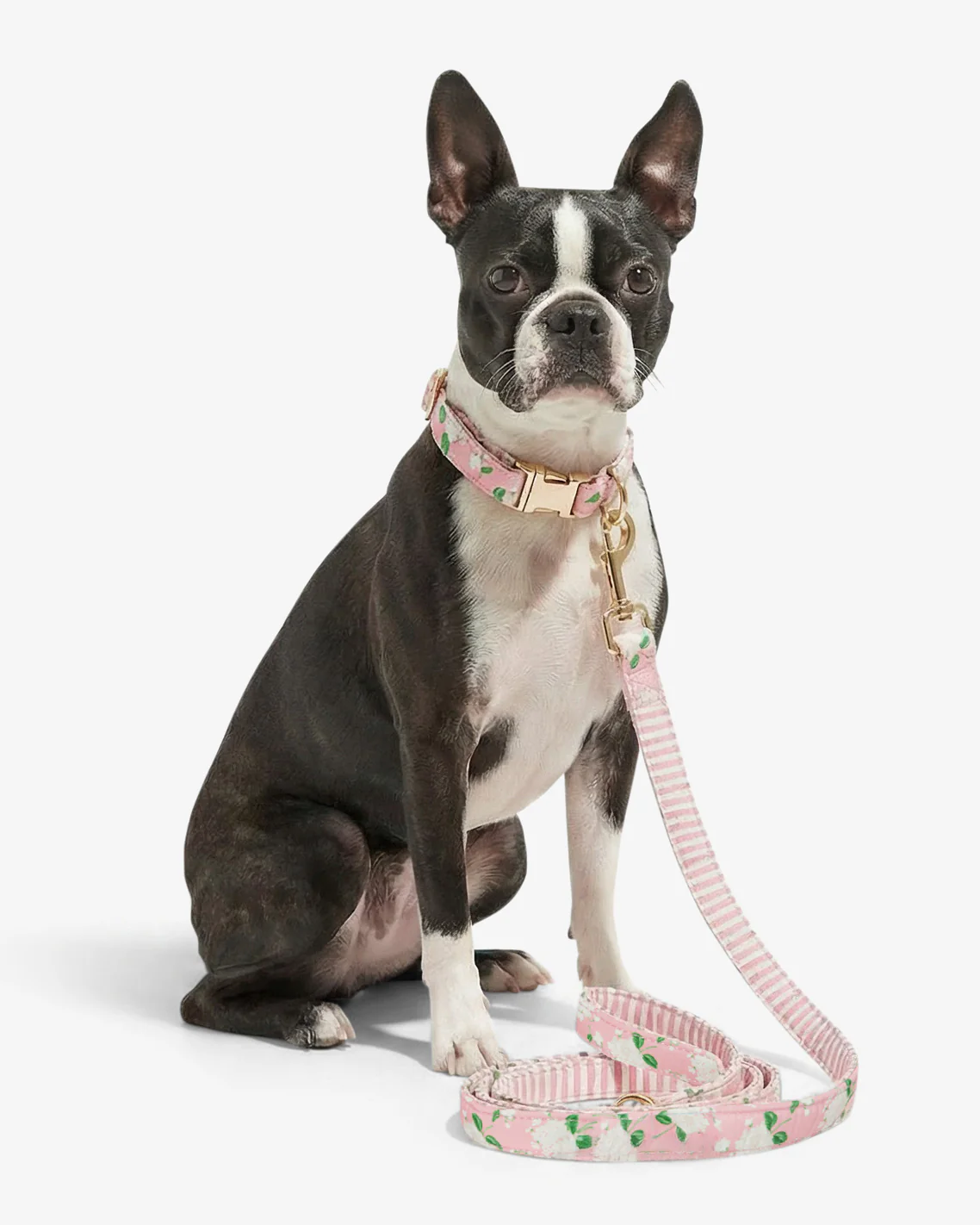 Pink Hydrangea Print Leash - Image 2