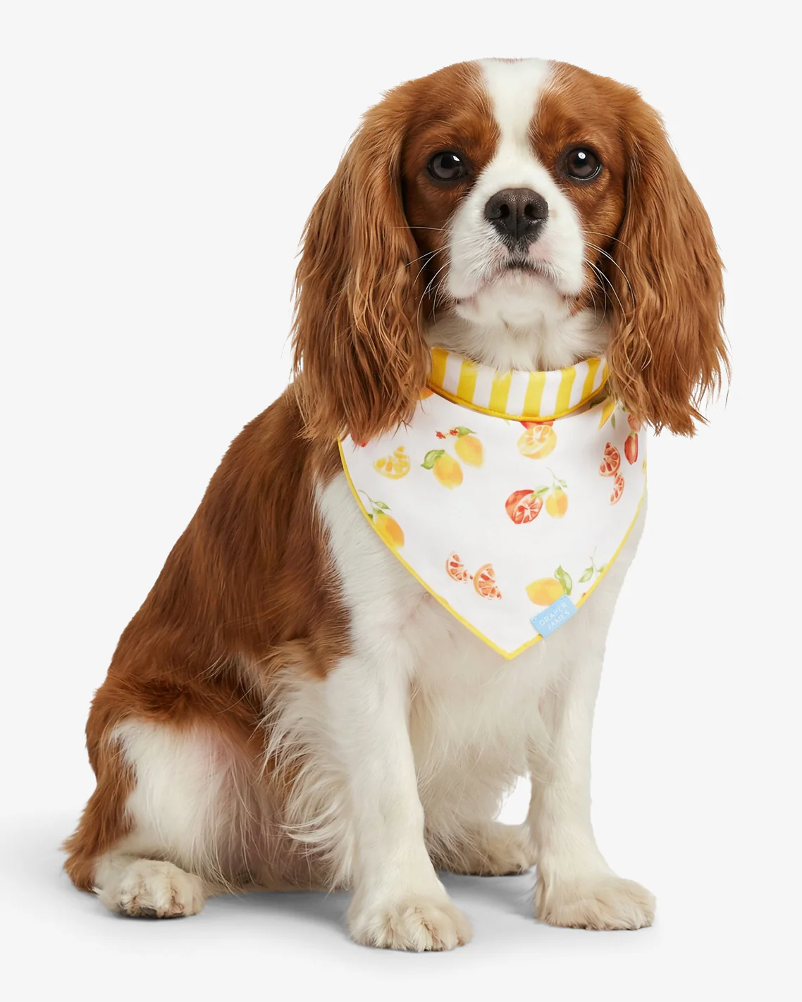 Yellow Reversible Citrus Bandana - Image 2